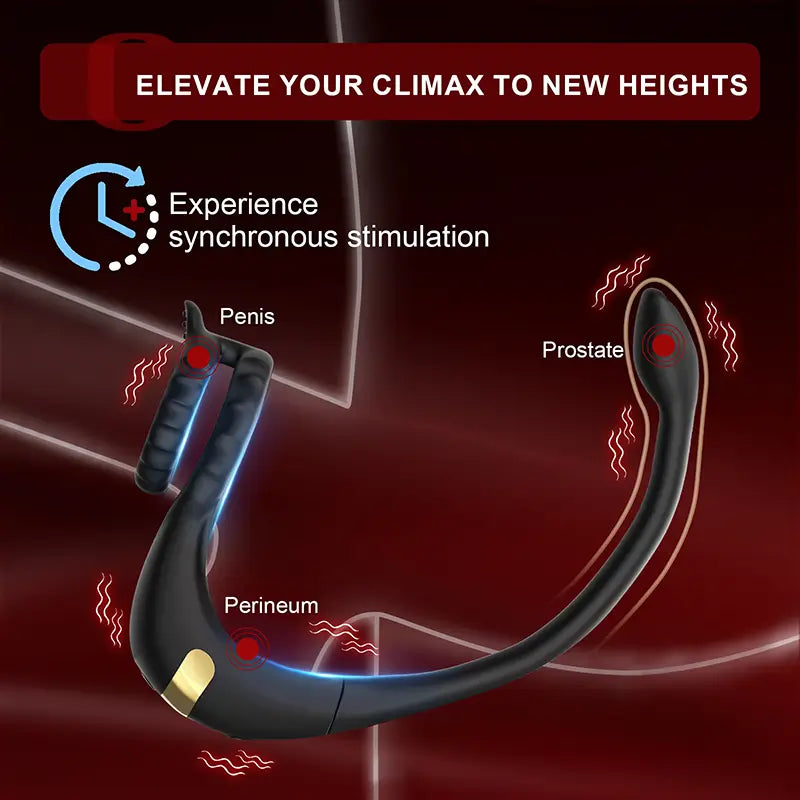 PM2: Prostata-Massager mit Penisring – steuerbar per Fernbedienung oder App